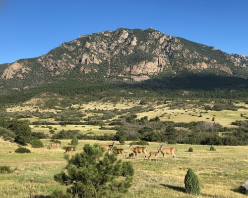 Cheyenne Mountain State Park