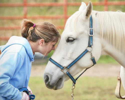 Dream Catcher Therapy Center