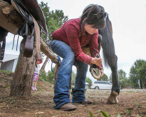 Spring Creek Horse Rescue